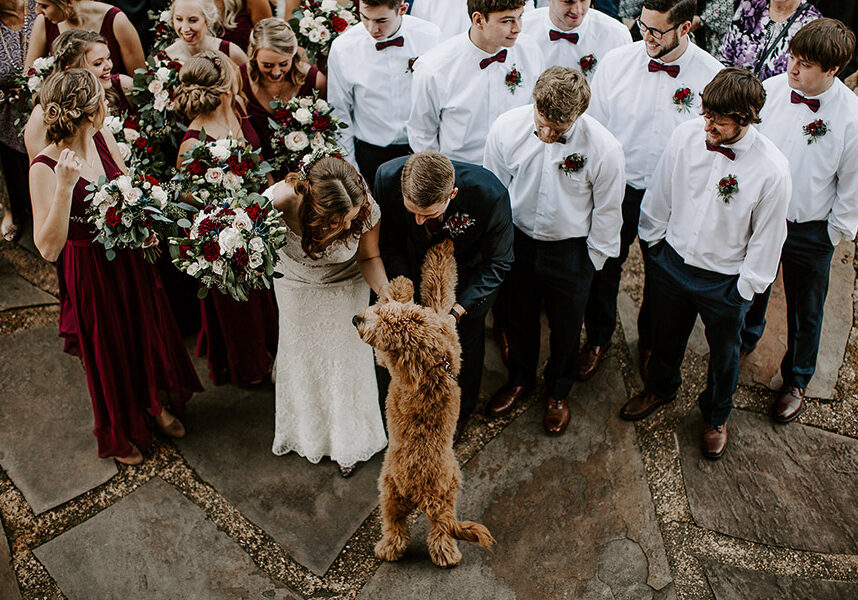 2025_DWC_Weddings_Party_1 The Johnson's Wedding Photo